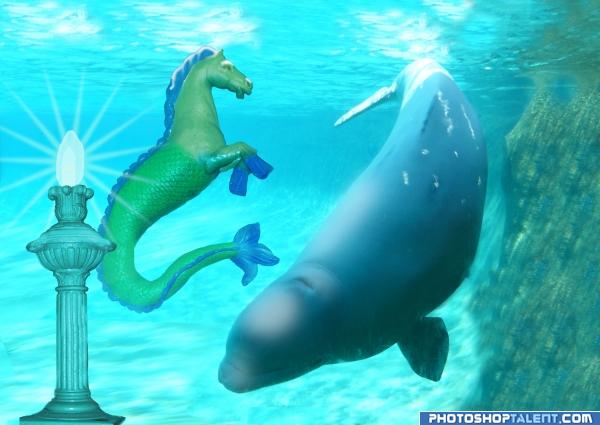Creation of Seahorse and Whale: Final Result